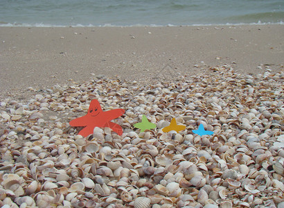 沙滩上的彩色纸海星和贝壳图片