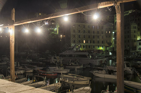 Camogli码头的夜景图片