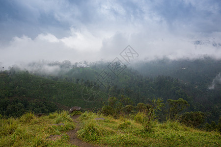 夏山绿草蓝天风景图片