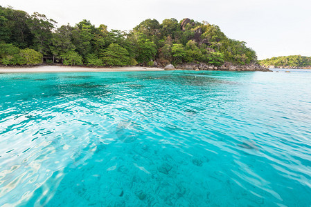蜜月湾美丽的绿色蓝海滨小海滩是泰国攀牙府穆岛斯米兰公园高棉岛潜图片
