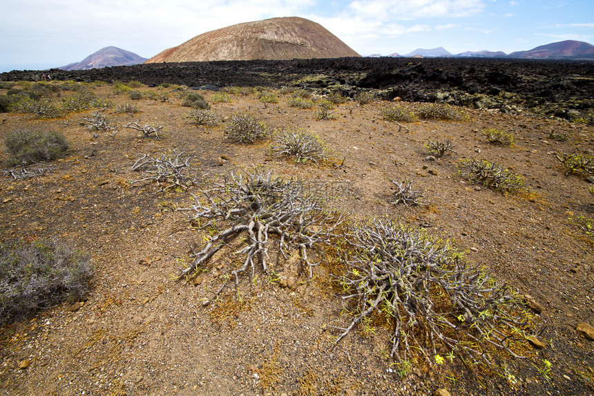 火山岩石云山和西班牙兰萨罗特夏日花岗草灌木图片