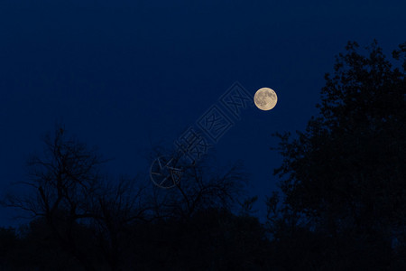 在月亮的幕后夜空被抛在图片
