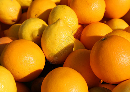 橙色和黄色西里柠檬的背景图片