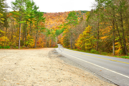 古昭公路秋天的景色与森林中的道路背景