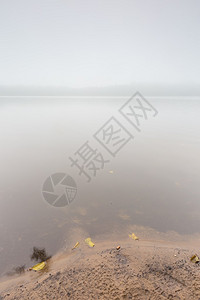 秋雾湖的岸边美丽的光彩照人风景在恶劣图片