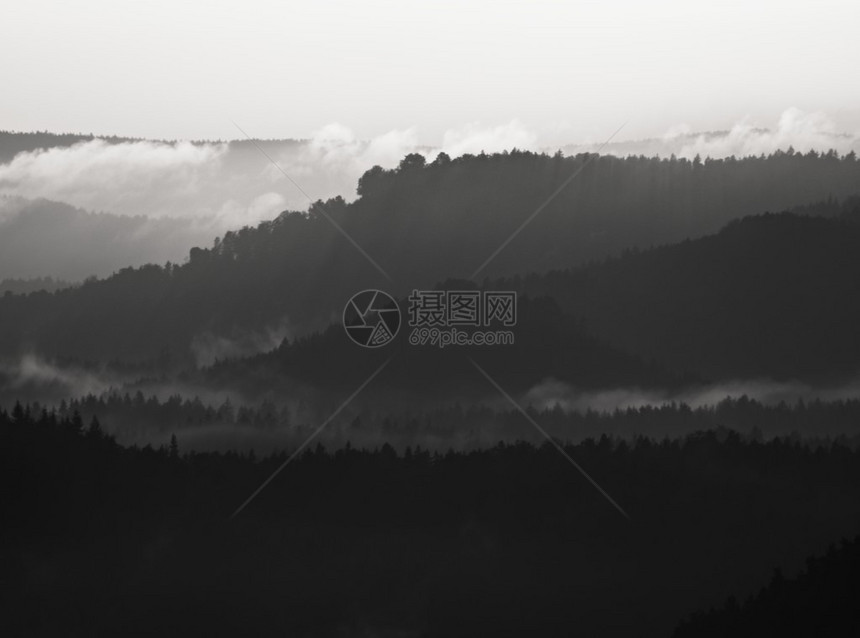 在美丽的山丘中起雾图片