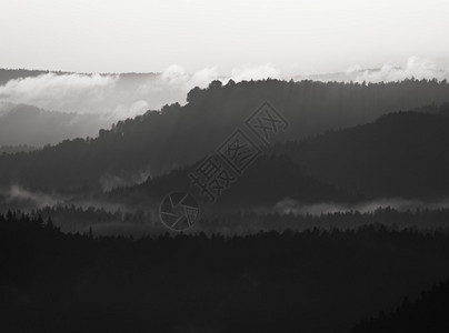 在美丽的山丘中起雾图片