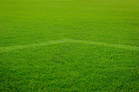 草地足球场上的白色角线球门图片