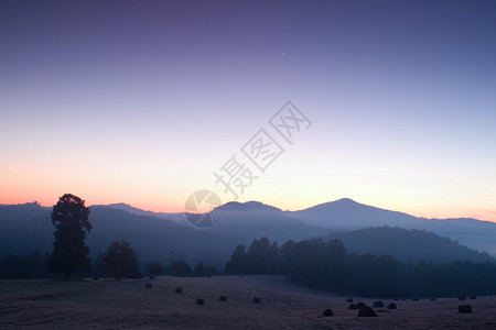 风景如画的薄雾日出有雾的早晨草甸图片
