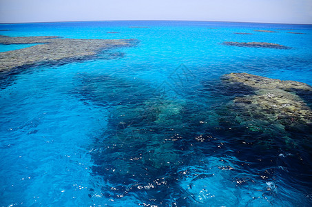 红海的美丽多彩珊瑚礁和图片
