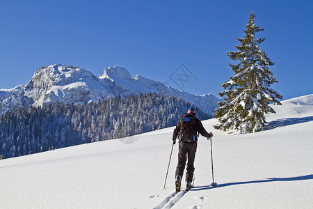 滑雪巡游者漫步于图片