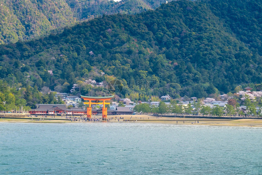 日本宫岛美丽的严岛神社图片