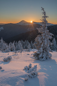 梦幻般的橙色夜景在阳光下熠生辉戏剧冬日场景与白雪皑的树木喀尔巴阡山脉图片