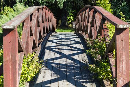 植物园中的古木桥图片