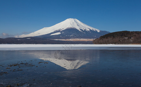 冬季的富士山和中湖图片