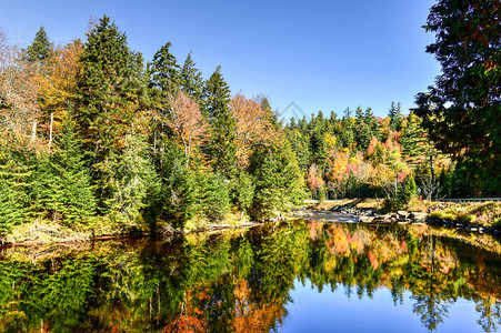 AdirondacksPeakFallFoliage在纽约图片