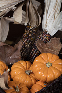 橘子南瓜小果酱和印度玉米作为感恩节装饰背景图片