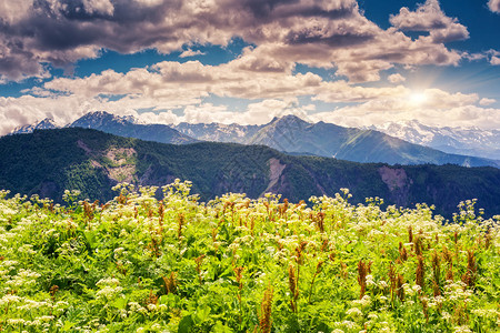 高山草原的大观图片