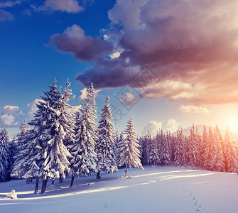 在阳光明媚的光束中欣赏冬季景观的美景戏剧夜景自然公园喀尔巴阡图片