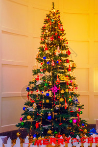 室内装饰圣诞树的图片