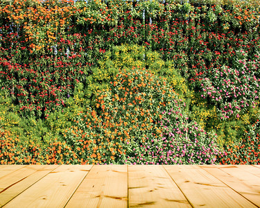 花卉植物墙垂直花园图片