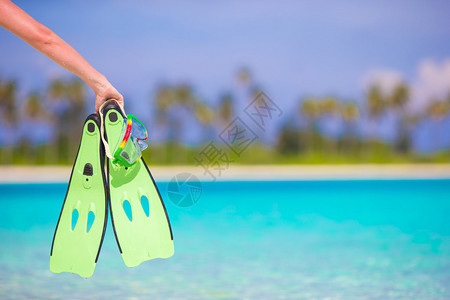 女人手上的绿色浮潜脚蹼图片