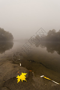 秋天一条野河上的雾和薄雾图片