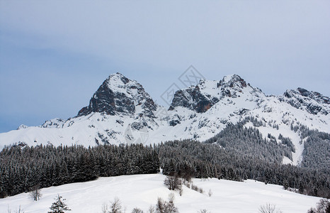 冬时雪下的高山落基山脉图片