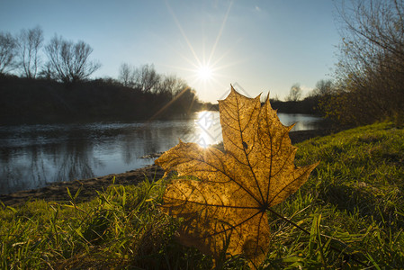 秋天在野生河流图片