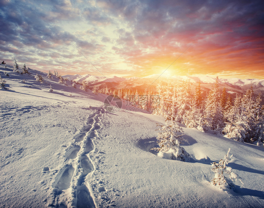 梦幻般的冬季景观和通向山脉的人迹罕至的小径日落假期喀尔巴阡图片