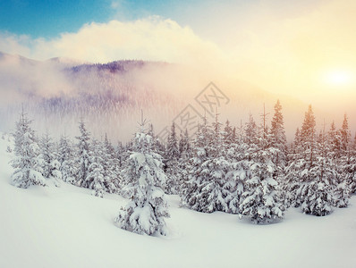 神秘的冬季景观雄伟的山脉在冬天神奇的冬天白雪覆图片