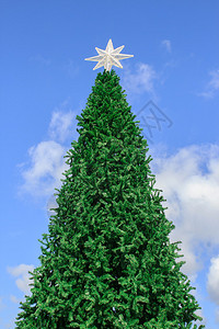 用蓝天背景装饰的节日圣诞树图片