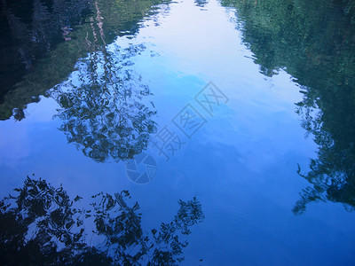 水中树木的倒影蓝天的树木倒影剪影树图片