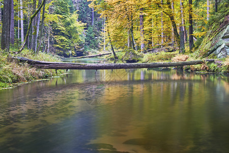 一条流淌的河流与岩石的秋景图片