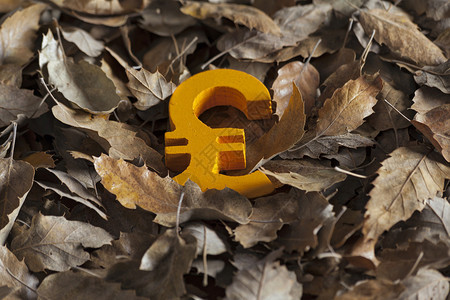 秋季假时的国际经济货币图标和货币图片