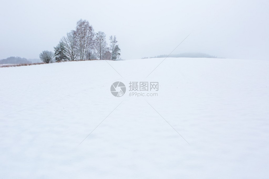 冬地在阴云灰色的天空下冬天图片