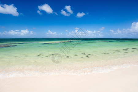 加勒比巴岛屿上带有白沙绿海水和蓝天空的背景图片