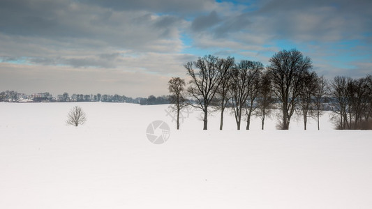 冬季的雪地风景暴风雪过图片