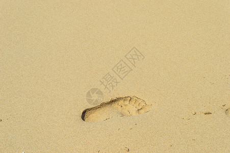 沙滩背景中的脚印图片