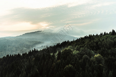 日落山上岩石森林和天空的美丽景图片