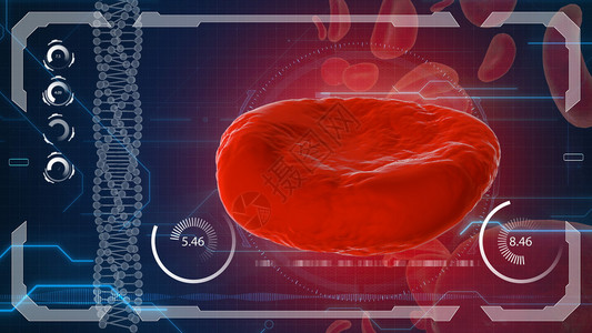 Erythrocyte红血细胞图片