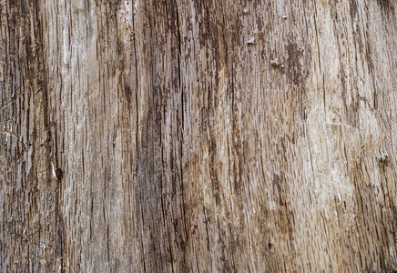 木材纹理天然木材背景图片
