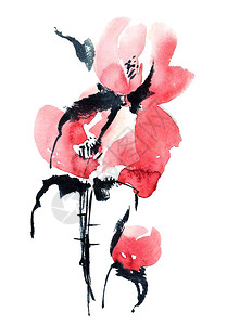 红花束的红色彩和墨水插图图片