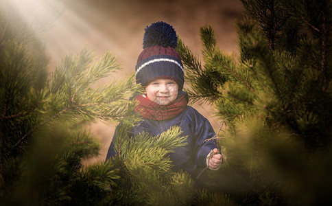 小男孩在春风中户外玩耍幼童躲藏在松树后面快乐的caucac图片