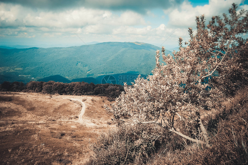 山景喀尔巴阡山脉在夏日阳图片