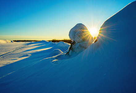 耀眼的阳光在雪地间飘荡图片
