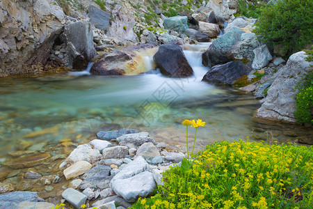 在五颜六色的岩石和高海拔植物群之间流动着透明的海水意大利法国阿尔卑斯山田园诗般的未受污染环境中的小溪流长时间曝光模糊了对背景图片