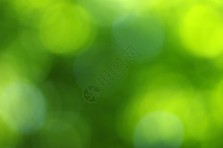 绿色bokeh图片