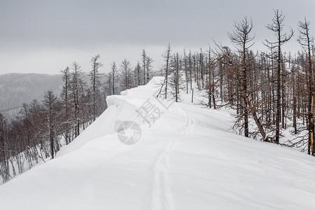 冬季山区风景和滑雪图片
