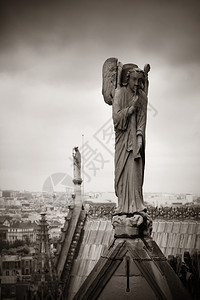 巴黎楼顶的视野图片